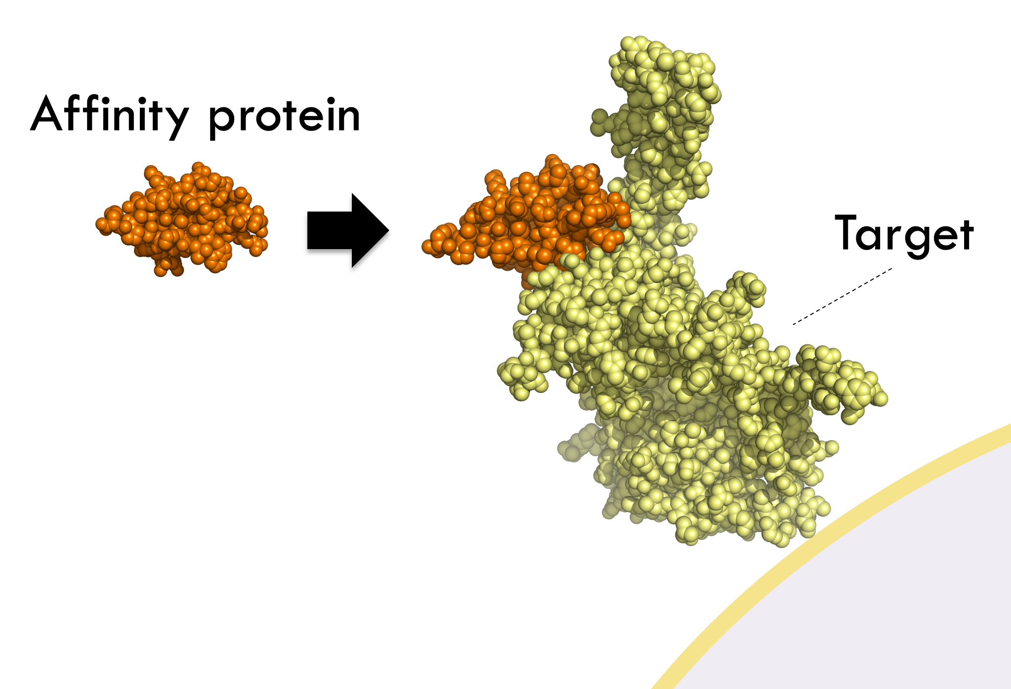 Protein Science KTH